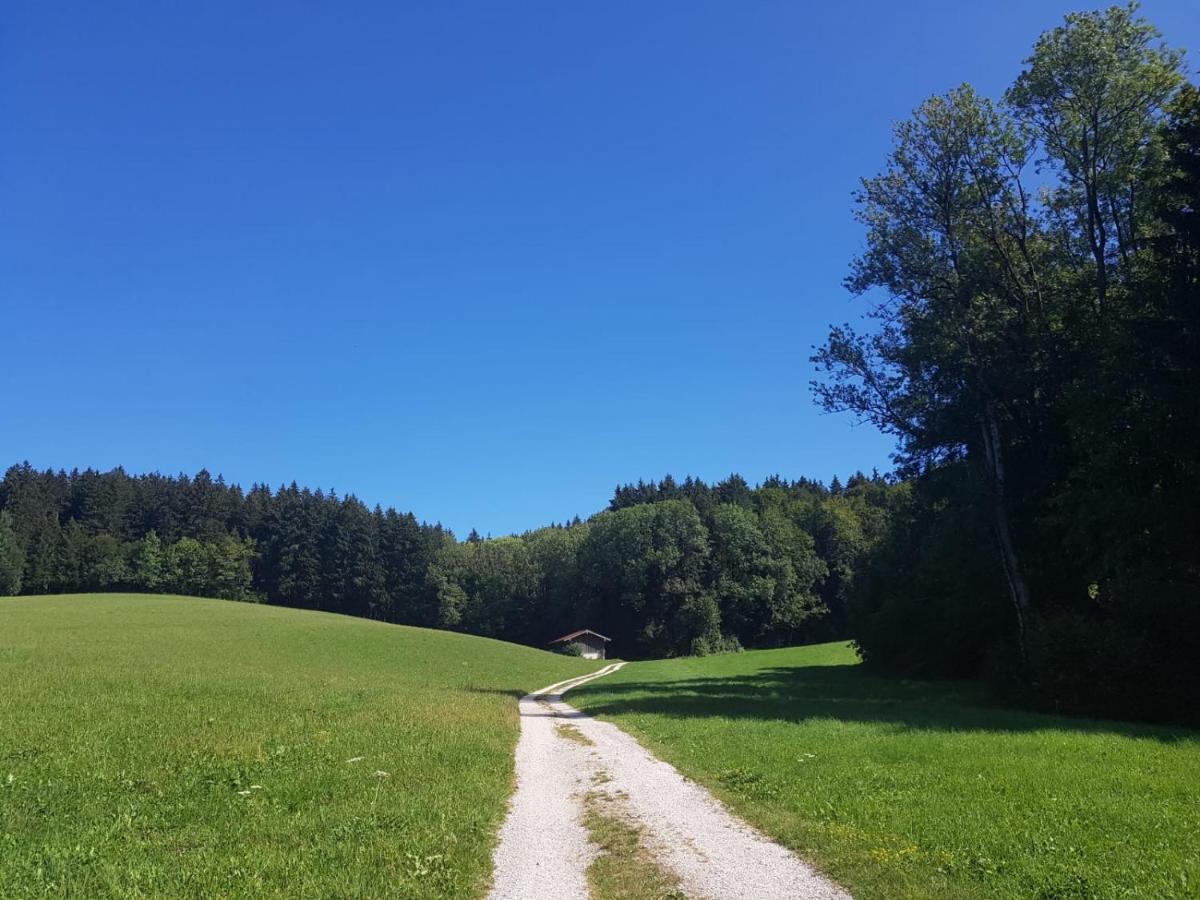 Ferienhaus Chiemgauer Auszeit- Chiemgaukarte Inclusive Siegsdorf Exterior foto
